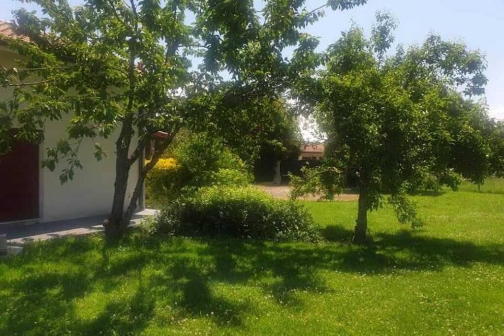 Villa Monplaisir 82 Montech Экстерьер фото
