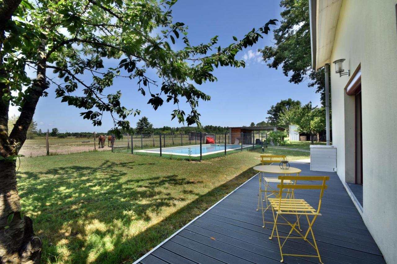 Villa Monplaisir 82 Montech Экстерьер фото